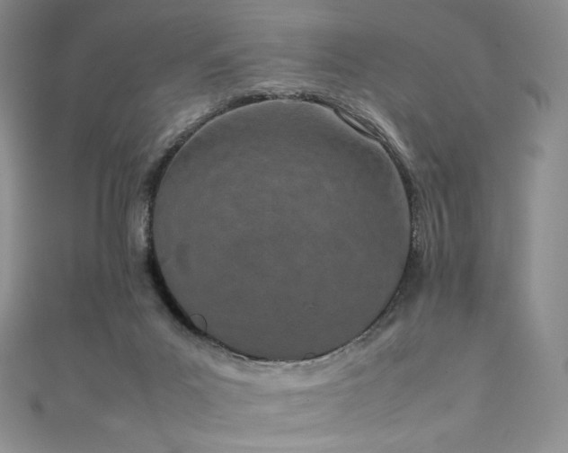 X0000111850023200907231438