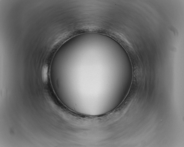 X0000111850024200907231438