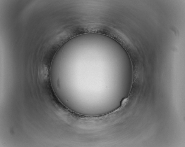 X0000111850025200907231438