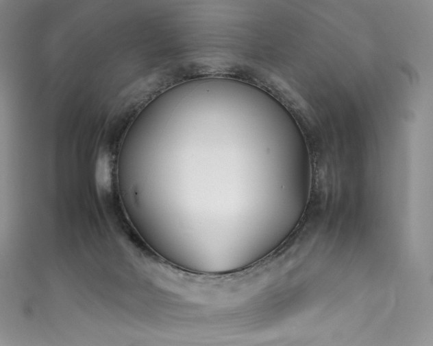 X0000111850026200907231438
