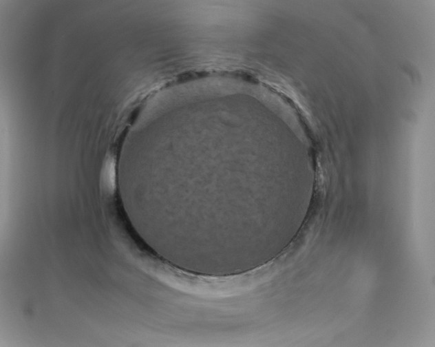 X0000111850027200907231438