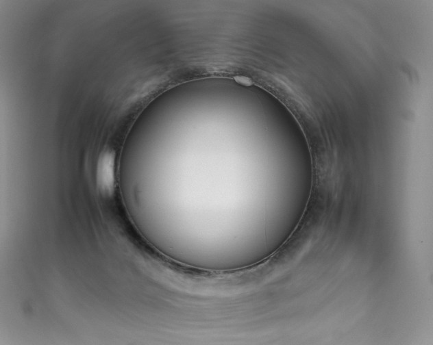 X0000111850028200907231438