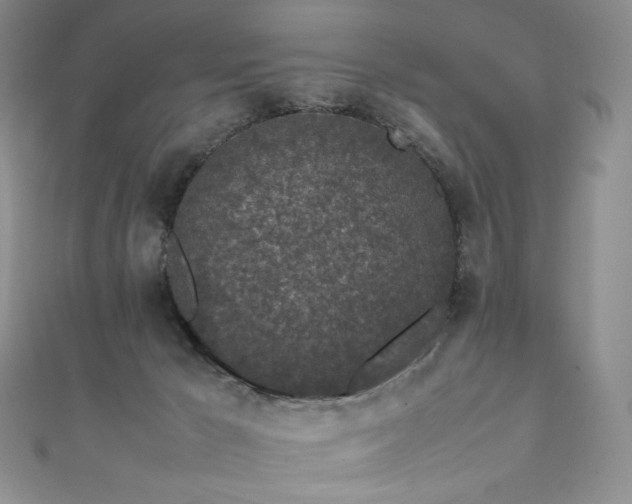 X0000111850029200907231438