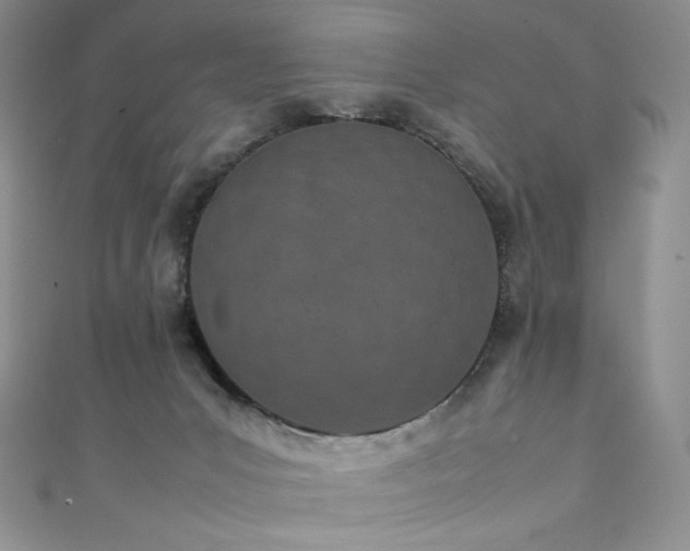 X0000111850031200907231437