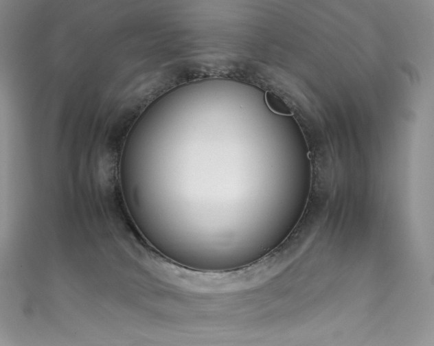 X0000111850034200907231437
