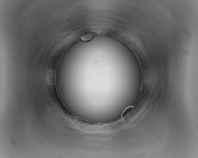 X0000111850036200907231437
