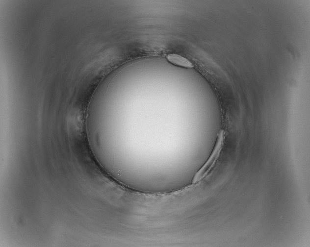 X0000111850037200907231437