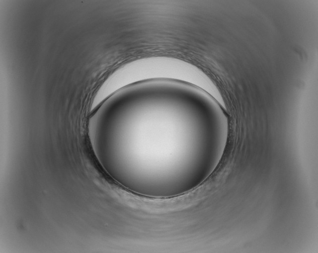 X0000111850039200907231437