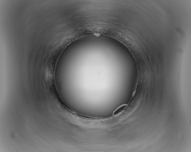 X0000111850040200907231437