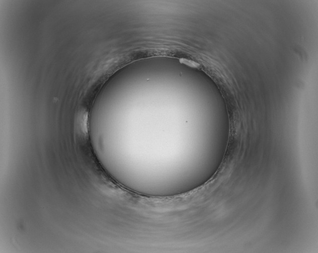 X0000111850041200907231437