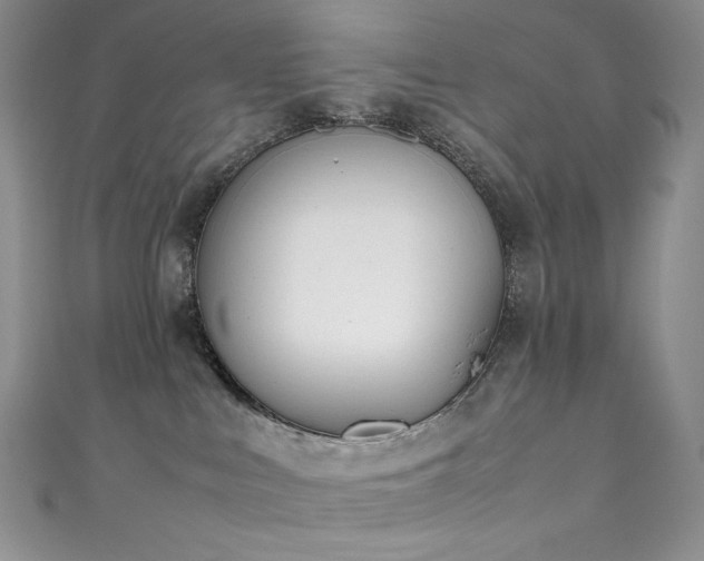 X0000111850043200907231437
