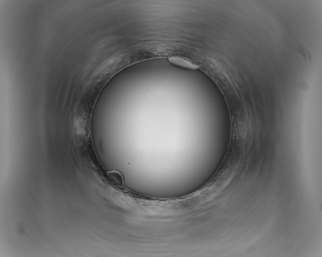 X0000111850044200907231437