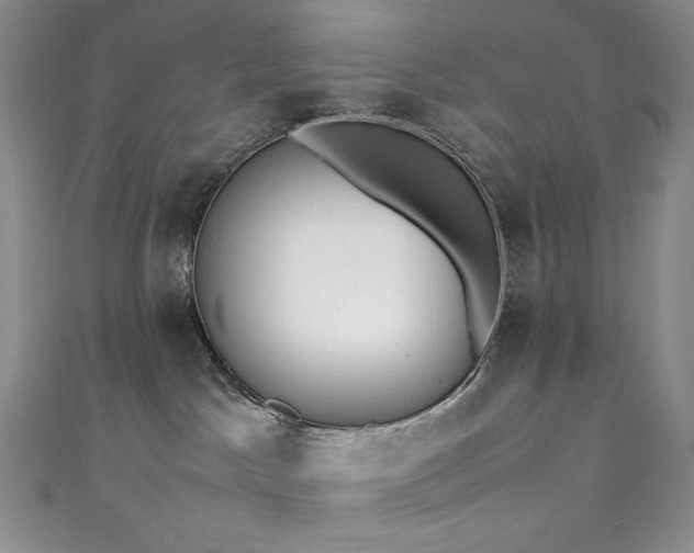 X0000111850045200907231437