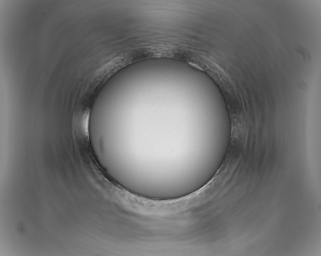 X0000111850047200907231437