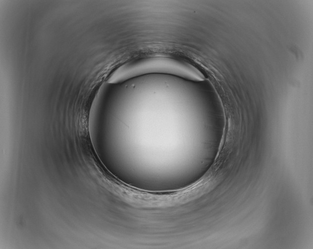 X0000111850048200907231437