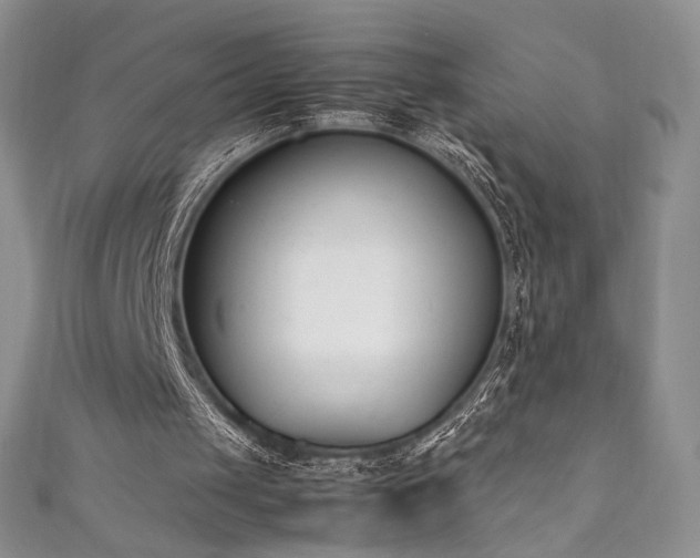 X0000111850049200907231437