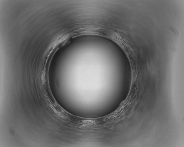 X0000111850050200907231437