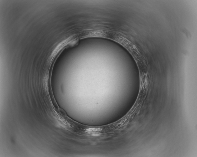 X0000111850051200907231437