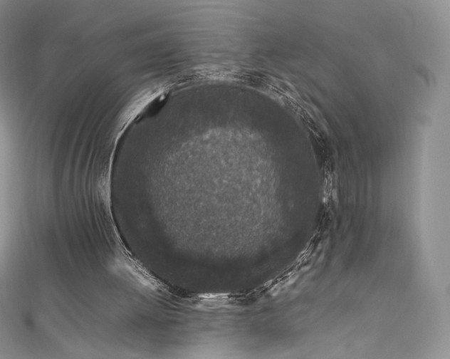 X0000111850052200907231437