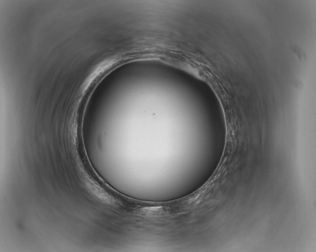 X0000111850054200907231437