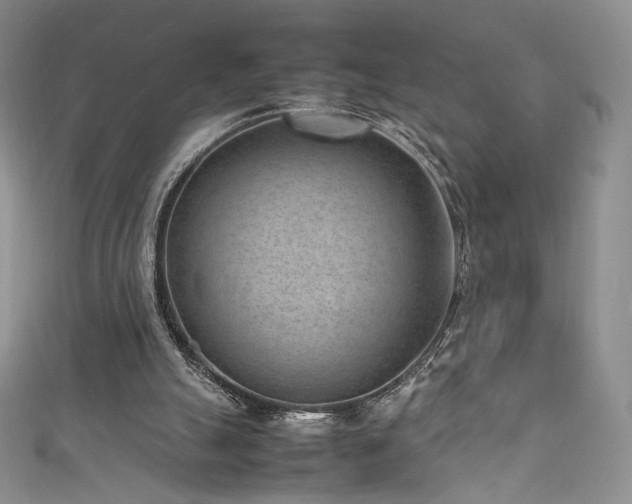 X0000111850055200907231437
