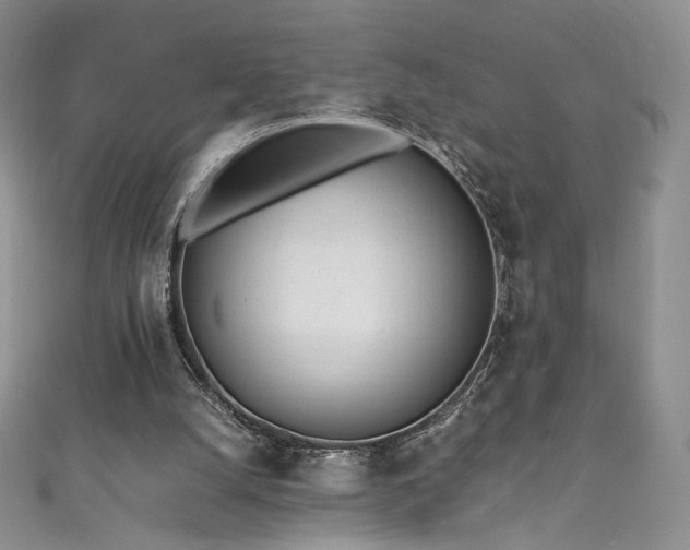 X0000111850056200907231437