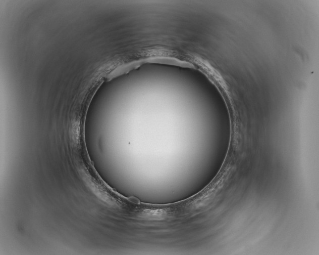 X0000111850057200907231437