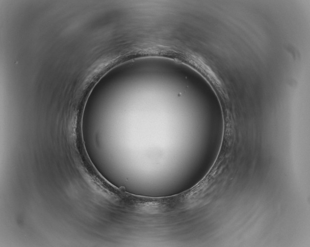 X0000111850058200907231437