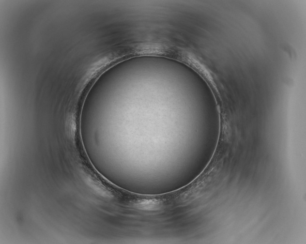 X0000111850059200907231437