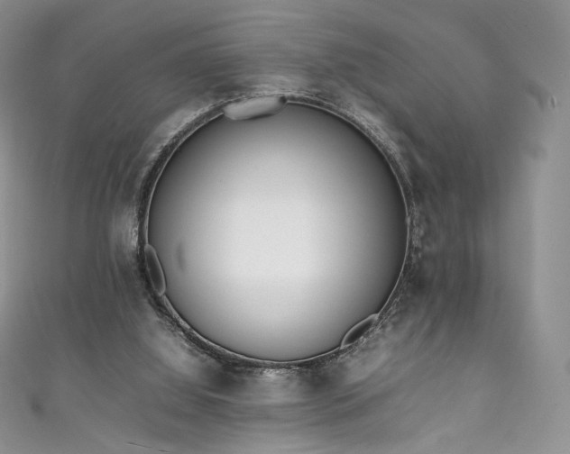 X0000111850060200907231437