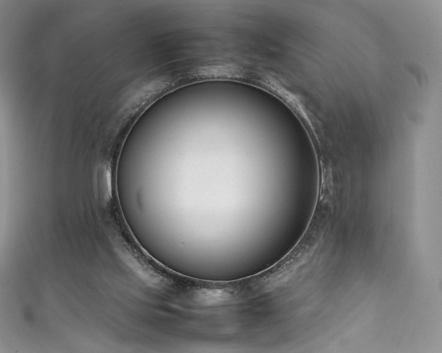 X0000111850061200907231437