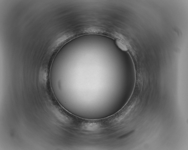 X0000111850063200907231437