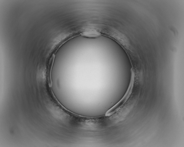 X0000111850064200907231437