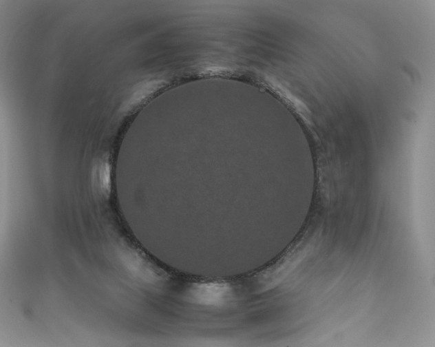 X0000111850067200907231437