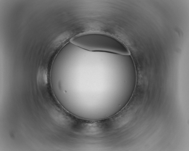 X0000111850068200907231437