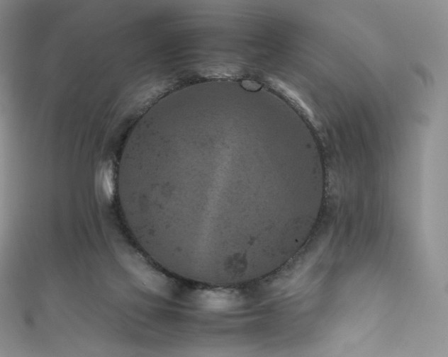 X0000111850069200907231437