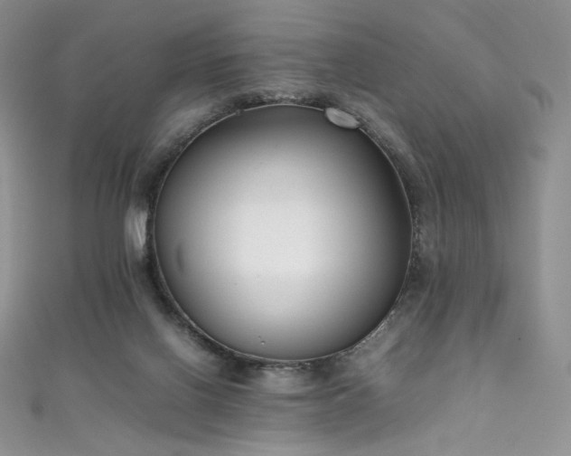 X0000111850070200907231437