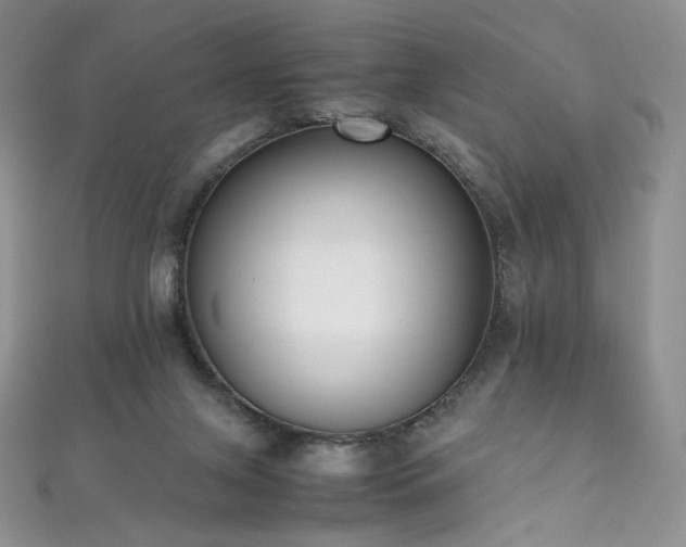 X0000111850071200907231437