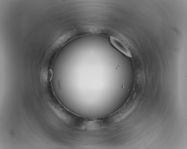 X0000111850072200907231437