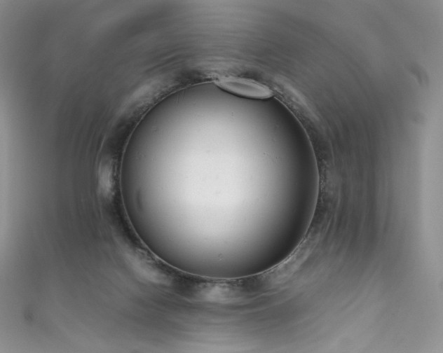 X0000111850074200907231437