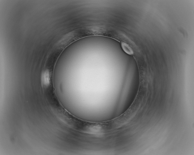 X0000111850075200907231437