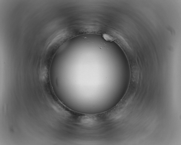 X0000111850077200907231437