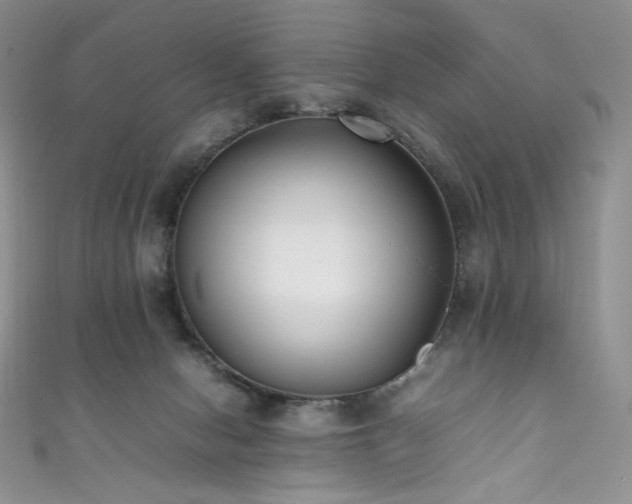 X0000111850078200907231437