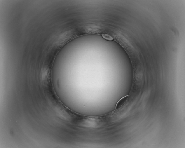 X0000111850079200907231437