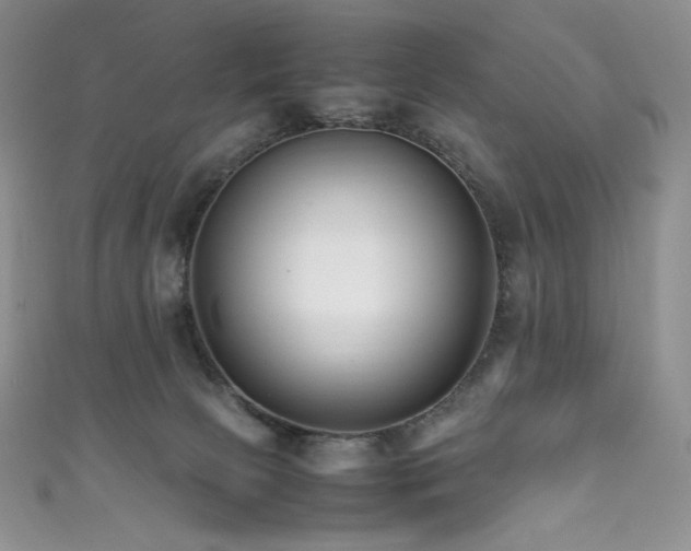 X0000111850081200907231437