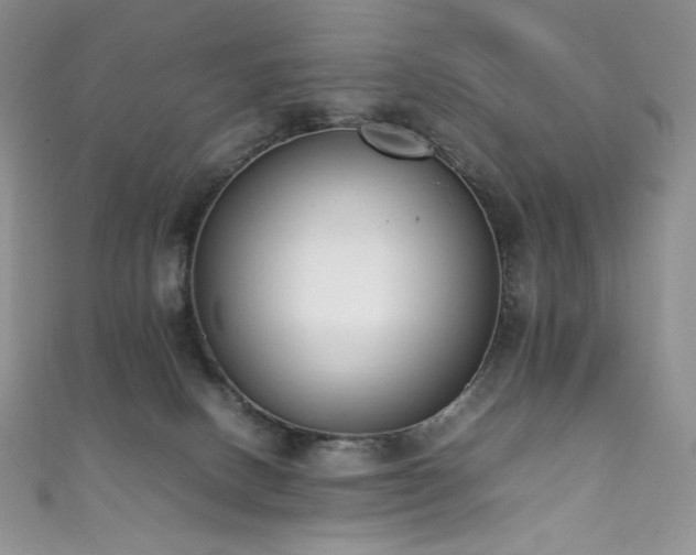 X0000111850082200907231437