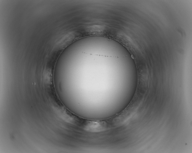 X0000111850083200907231437