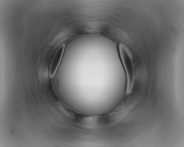 X0000111850084200907231437