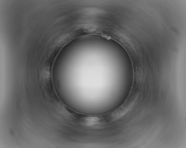 X0000111850085200907231437
