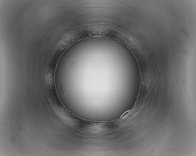 X0000111850086200907231437